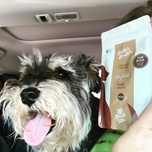 The Ultimate Guide to Organic Bone Broth for Dogs and Cats: Why Buffy's Broth is the Best Choice